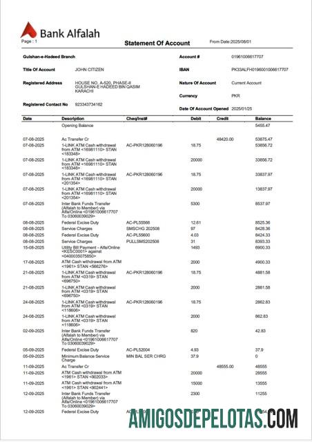 Modelo realista de extrato de conta Alfalah do Banco do Paquistão Word e PDF